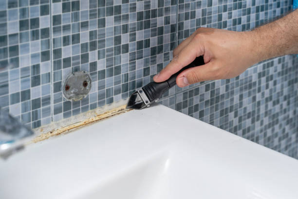Reliable Estero, FL Mold Removal Solutions