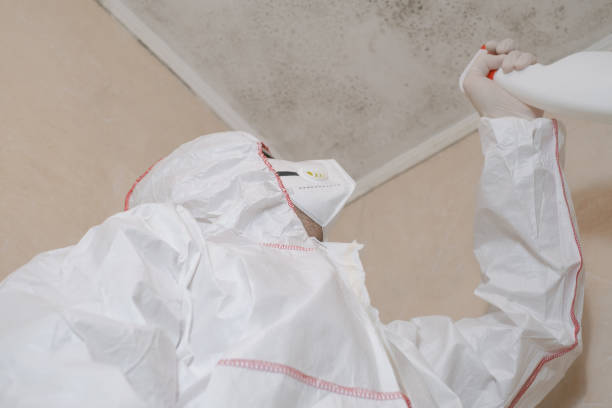 Certified Mold Removal in Estero, FL