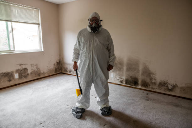 Best Mold Damage Repair  in Estero, FL